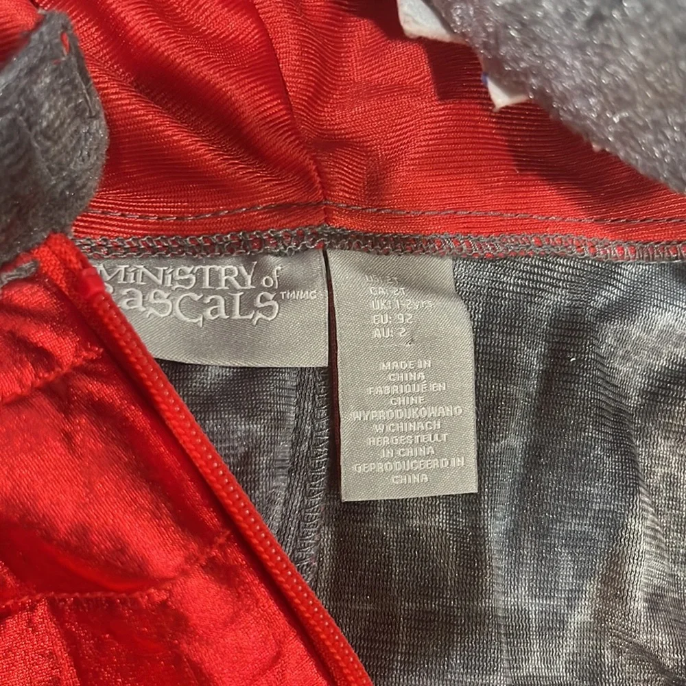 Ministry of Rascal dragon costume size 2T